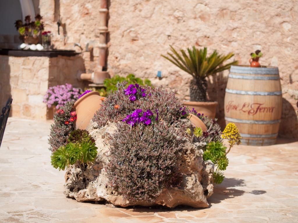 Agroturismo S Hort De Can Carrio Ag226 Сес Салинес Екстериор снимка